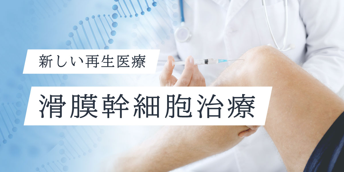 新しい再生医療 滑膜幹細胞治療